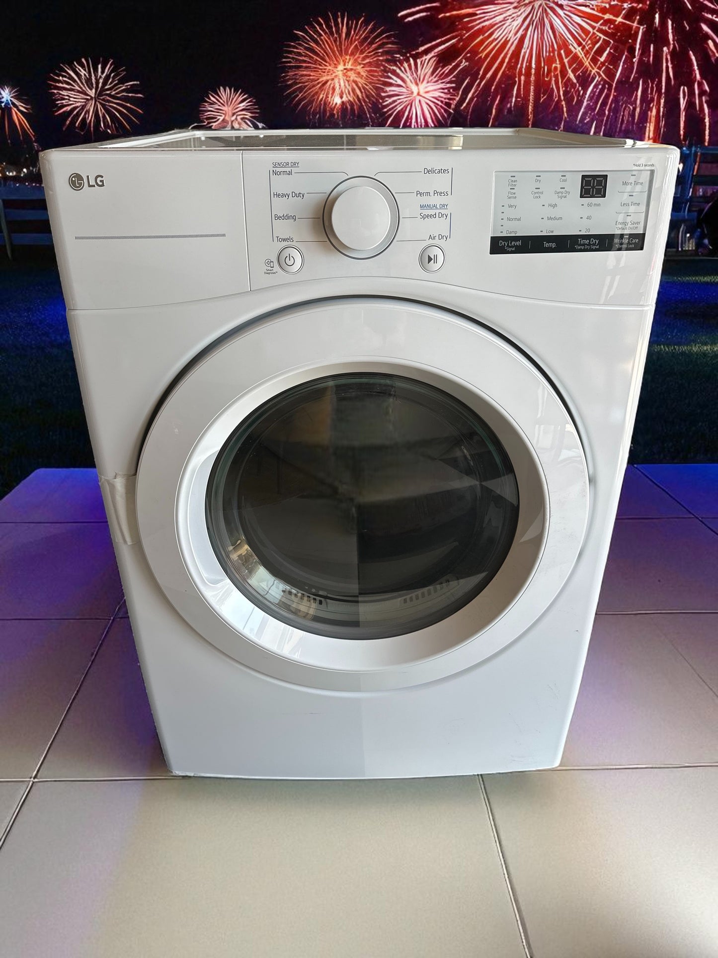 LG 7.4 Cu. Ft. Large Capacity Electric Dryer